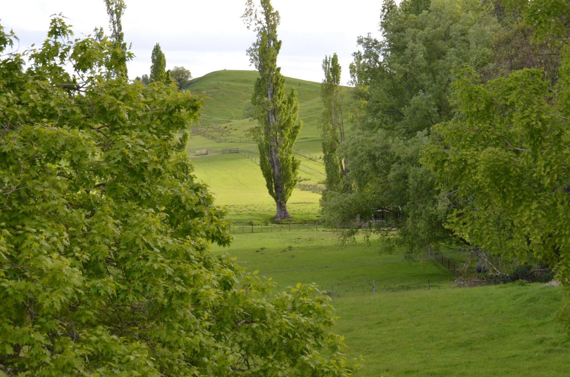 Ashcott Homestead Bed & Breakfast Takapau Exterior photo